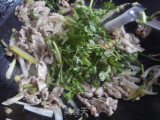 【scallion Fried Lamb】 recipe