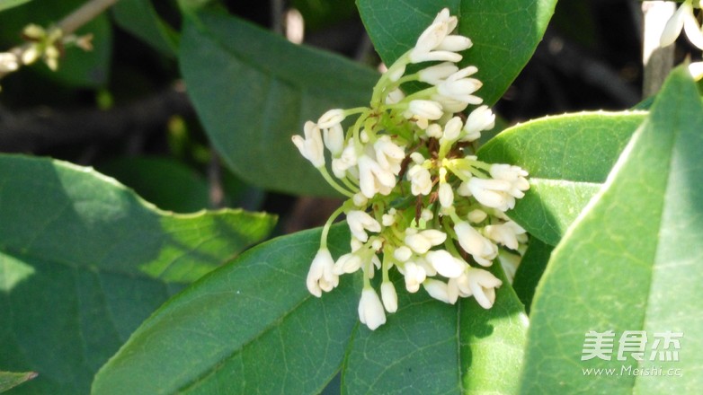 Osmanthus Wolfberry Tea recipe