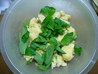 Vanilla Mint Cookies recipe
