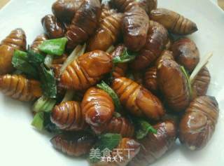 Stir-fried Cocoon Pupa recipe