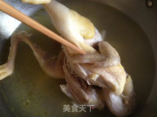 【white Chicken】 recipe