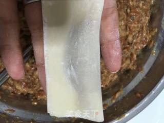Fresh Meat Wonton recipe