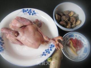 Stewed Pigeon with Eshen Mushroom recipe