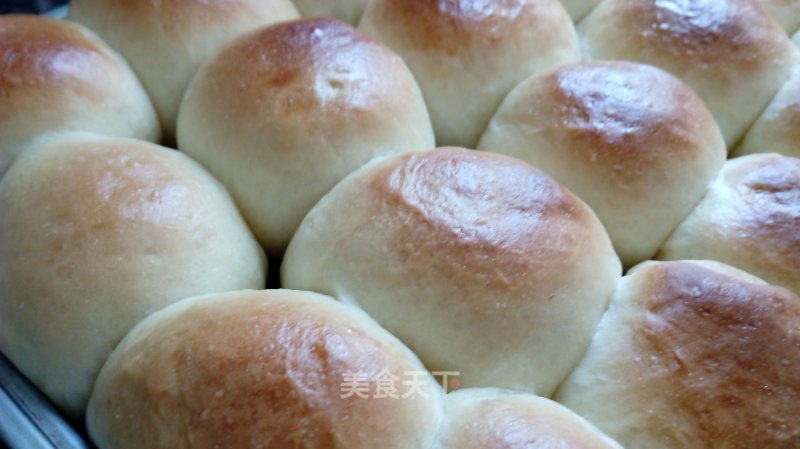 Milk Meal Buns recipe