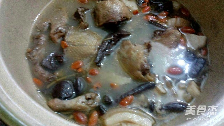 Stewed Pigeon recipe