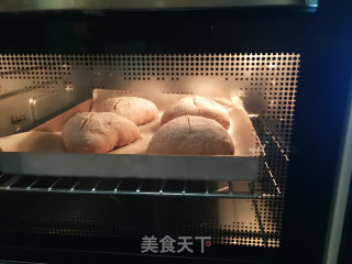 #柏翠大赛#cranberry Multigrain Bread recipe