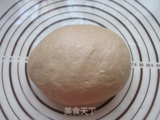 Whole Wheat Brown Sugar Soft European Buns recipe