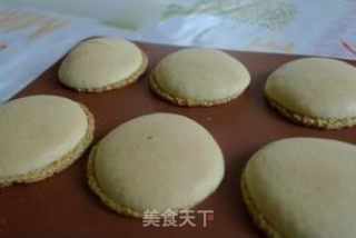 Pistachio Macaron (master Recipe-detailed Steps) recipe