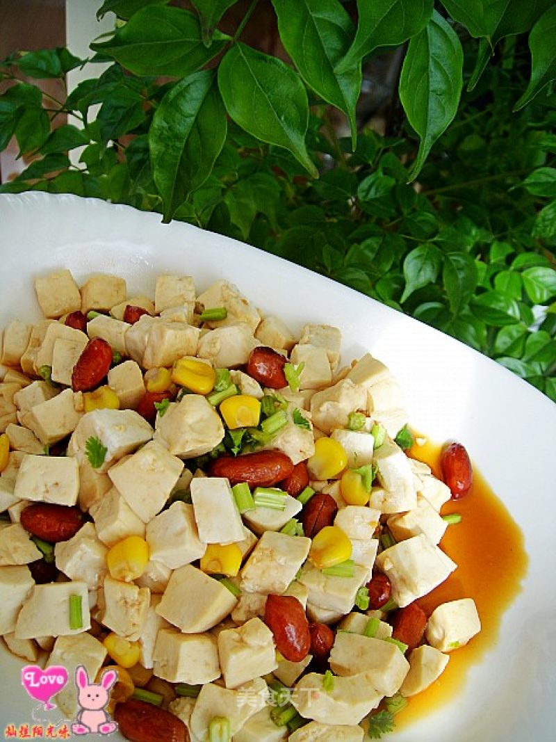 Variety of Tofu-colorful Tofu