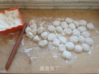 Handmade Dumplings recipe