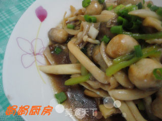 [taihe Condiment Trial Report]------oyster Sauce Mushrooms! recipe