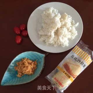 [trial Report of Chobe Series Products]——rice Salad recipe