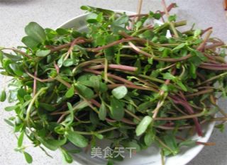 【summer Cold Dishes】cold Portulaca recipe