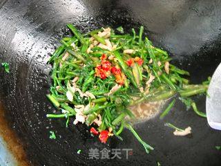 Stir-fried Shredded Pork with Wild Cress recipe