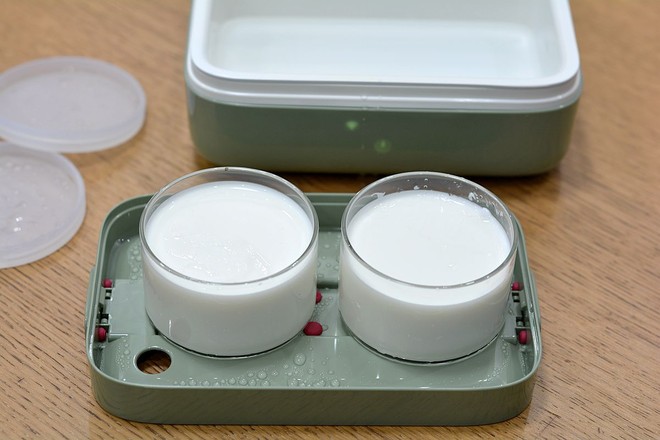 Electric Lunch Box Homemade Plain Yogurt recipe