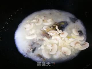 Milky White Crucian Fish Soup recipe