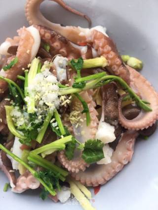 Octopus Mixed with Ginger recipe