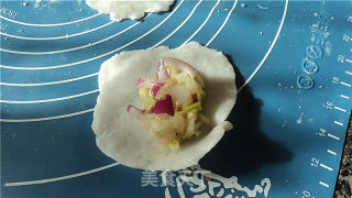 Failed Shrimp Dumplings recipe