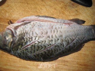 Cold Crucian Carp recipe