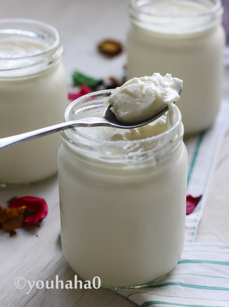 Coconut Yogurt recipe