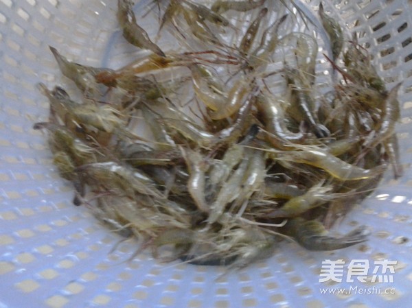 Brine Shrimp recipe