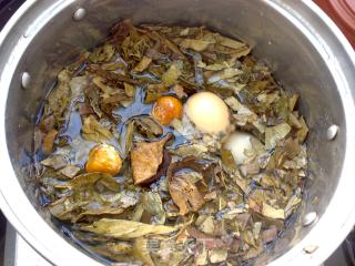 Nourishing Lung Tea recipe