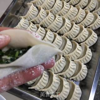 Dumplings (pork Dumplings and Leek Dumplings) recipe