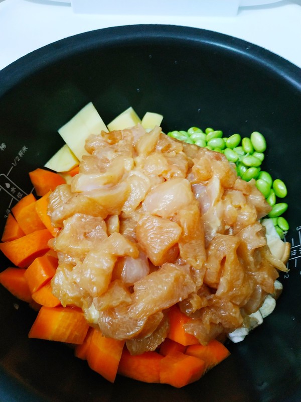 Rice Cooker Food | Chicken Breast Braised Rice recipe