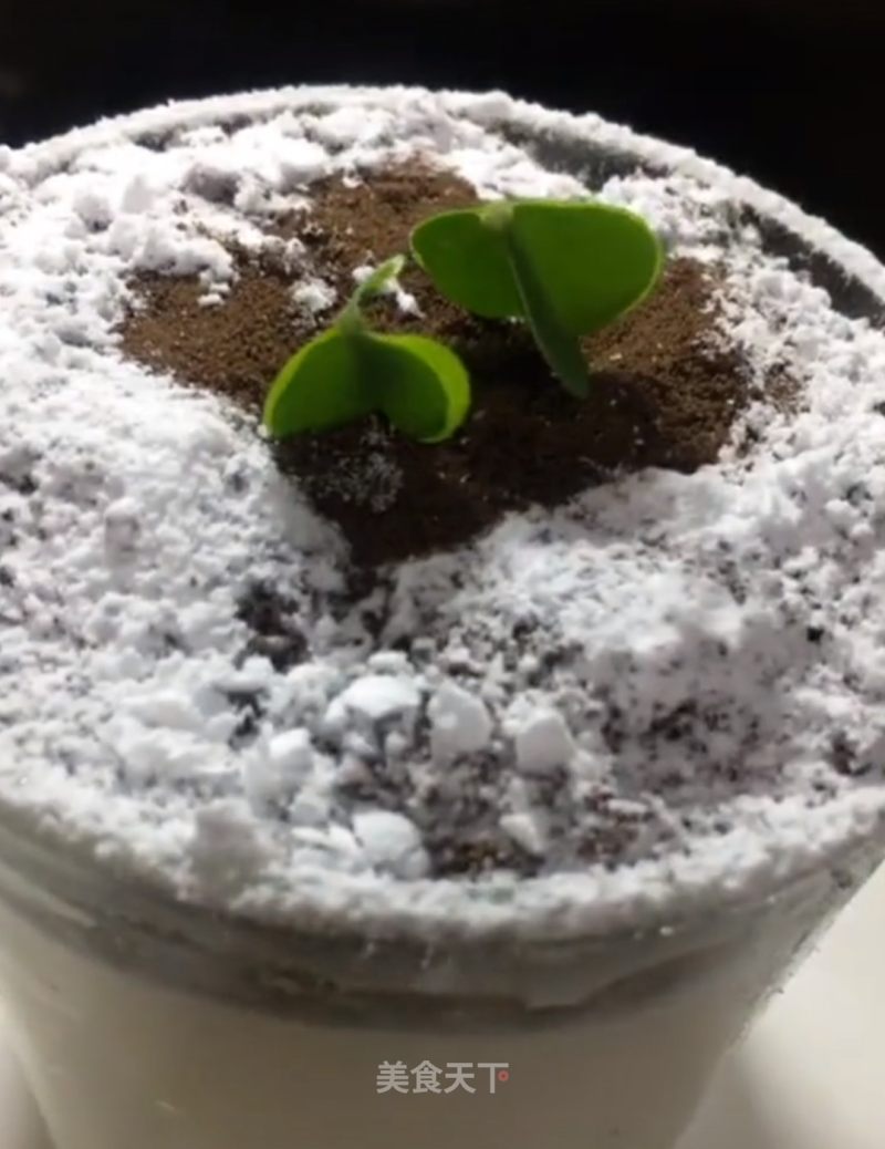 Oreo Potted Plants recipe