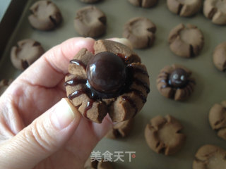 Spider Cocoa Biscuits recipe