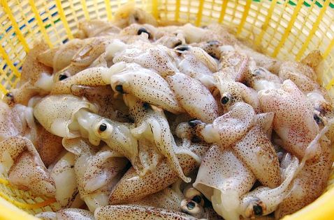 Stir-fried Mullet Flower with Chrysanthemum recipe