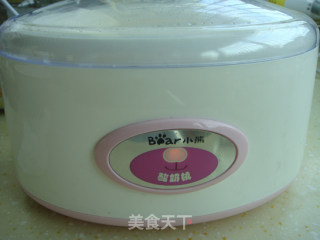 Homemade Fermented Yogurt Machine recipe