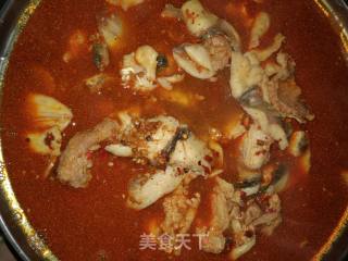 Boiled Live Fish recipe