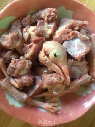 Dendrobium Pigeon Stew Pot recipe