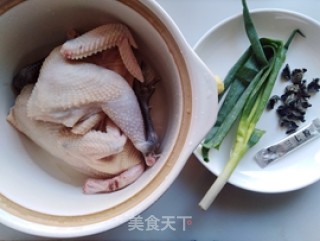 Panax Notoginseng Fungus Stewed Chicken Soup recipe