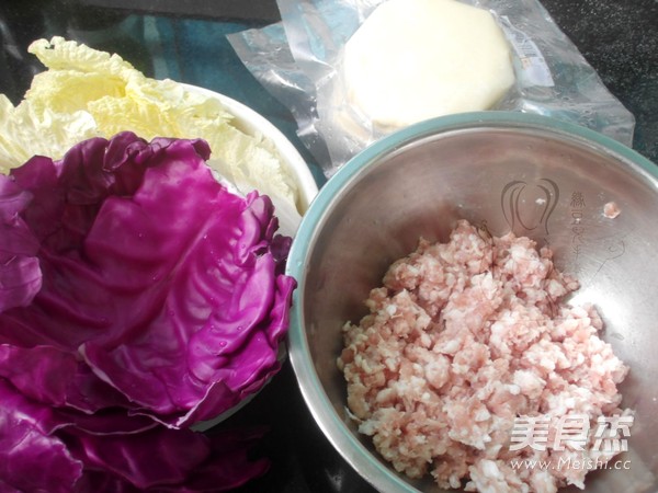 Cabbage, Purple Cabbage and Pork Dumplings recipe