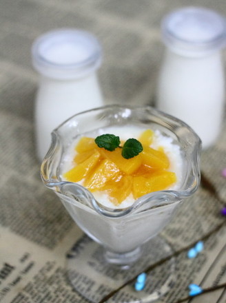 Homemade Healthy and Delicious Yogurt