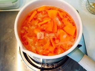 Papaya Coconut Milk Cream recipe