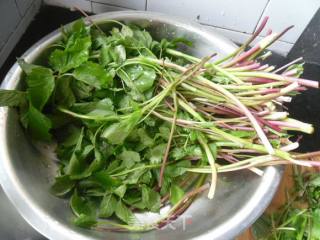 Garlic Wild Celery recipe