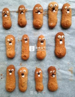 #aca三session Baking Star Competition# Hamster Cocoa Oatmeal Biscuits recipe
