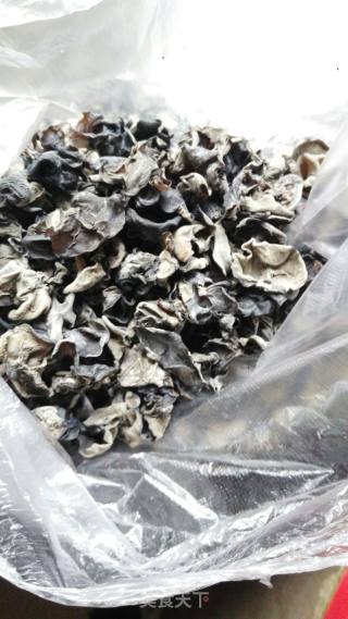 Cold Fungus recipe