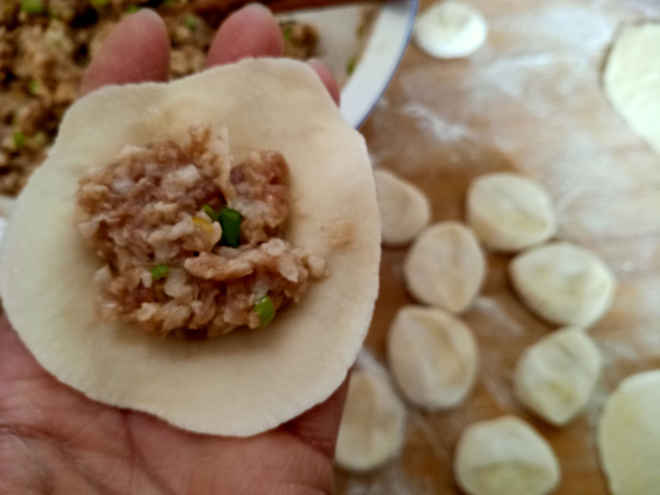 Lotus Root Meat Dumplings recipe