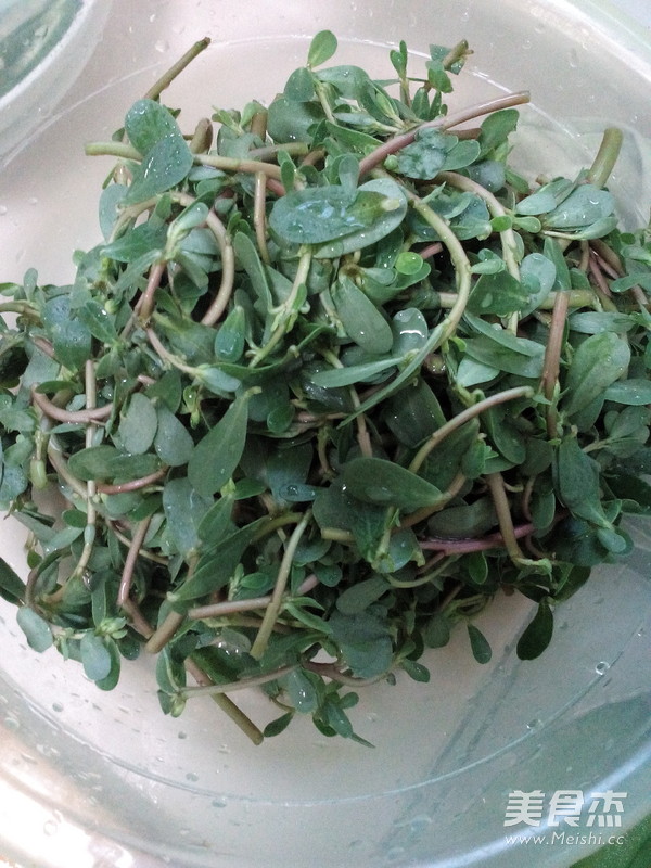 Portulaca Oleracea recipe