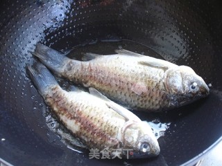 Simple Milky White Nutritious Soup-crucian Carp and Mushroom Soup recipe