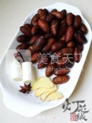 Boiled Silkworm Chrysalis in Brine recipe