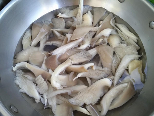 Braised Oyster Mushrooms with Chinese Cabbage recipe