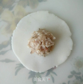 Crystal Shrimp Dumpling recipe