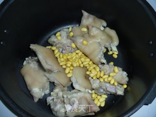 Pig's Trotter Seaweed Soup-through Your Black Hair recipe