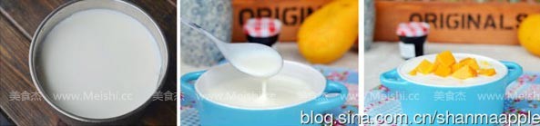 Homemade Yogurt recipe