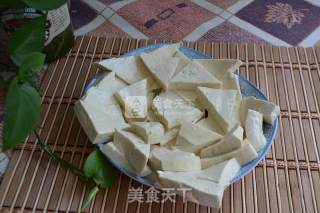 Marinated Tofu with Gravy recipe